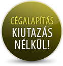 mini gmbh alapítás